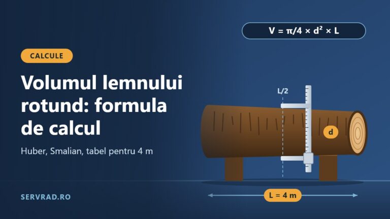 Buștean așezat pe suporți, cu clupa forestieră pusă la jumătatea lungimii și cotele de lungime și diametru marcate